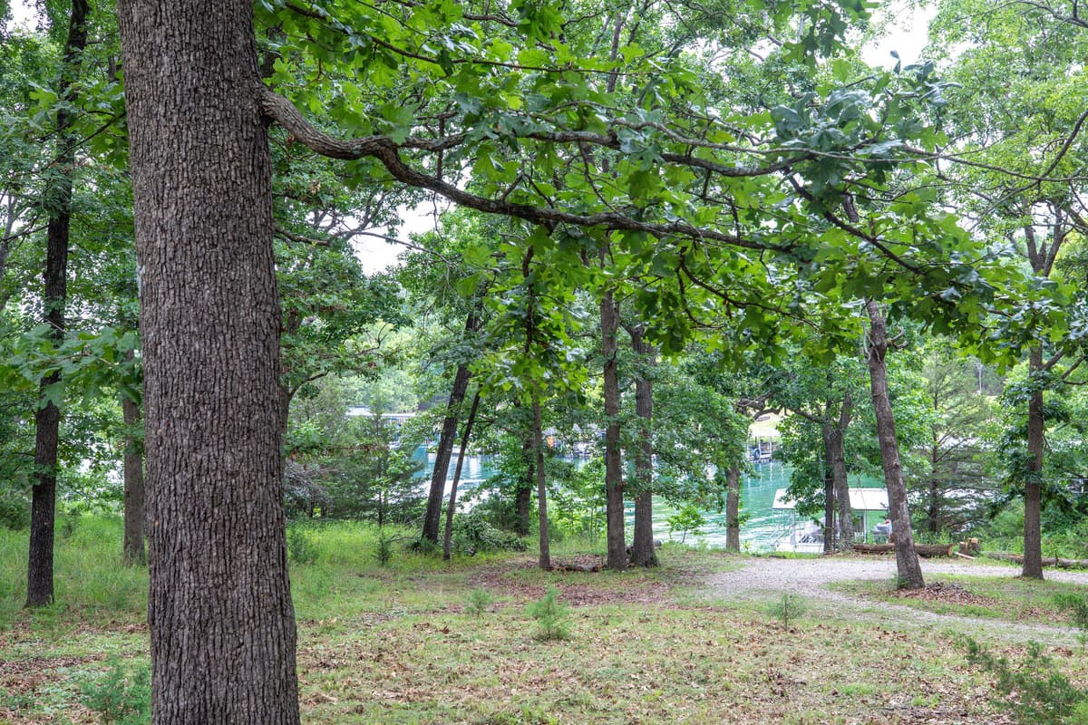 Path right now to Table Rock Lake!