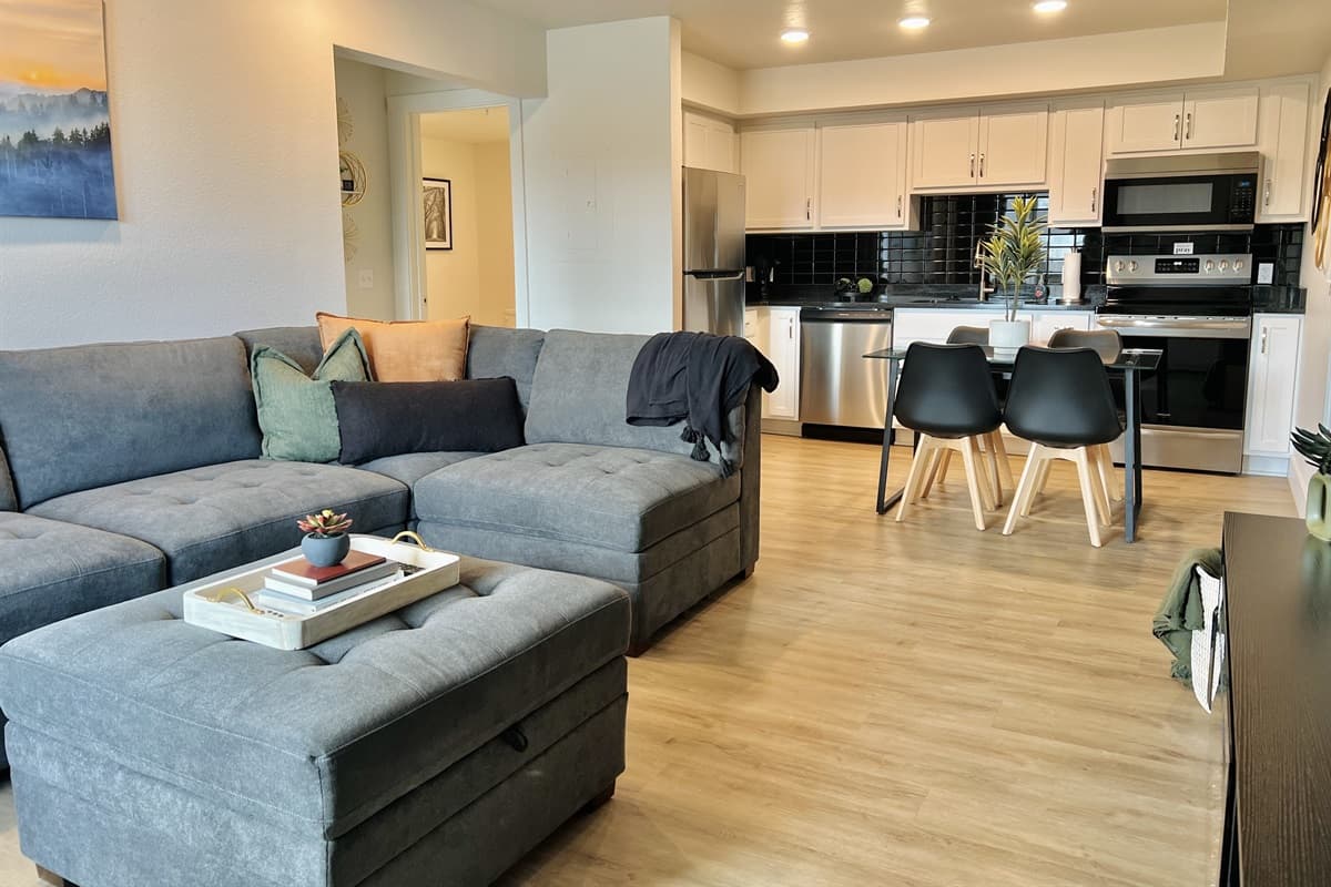 Open living room and kitchen