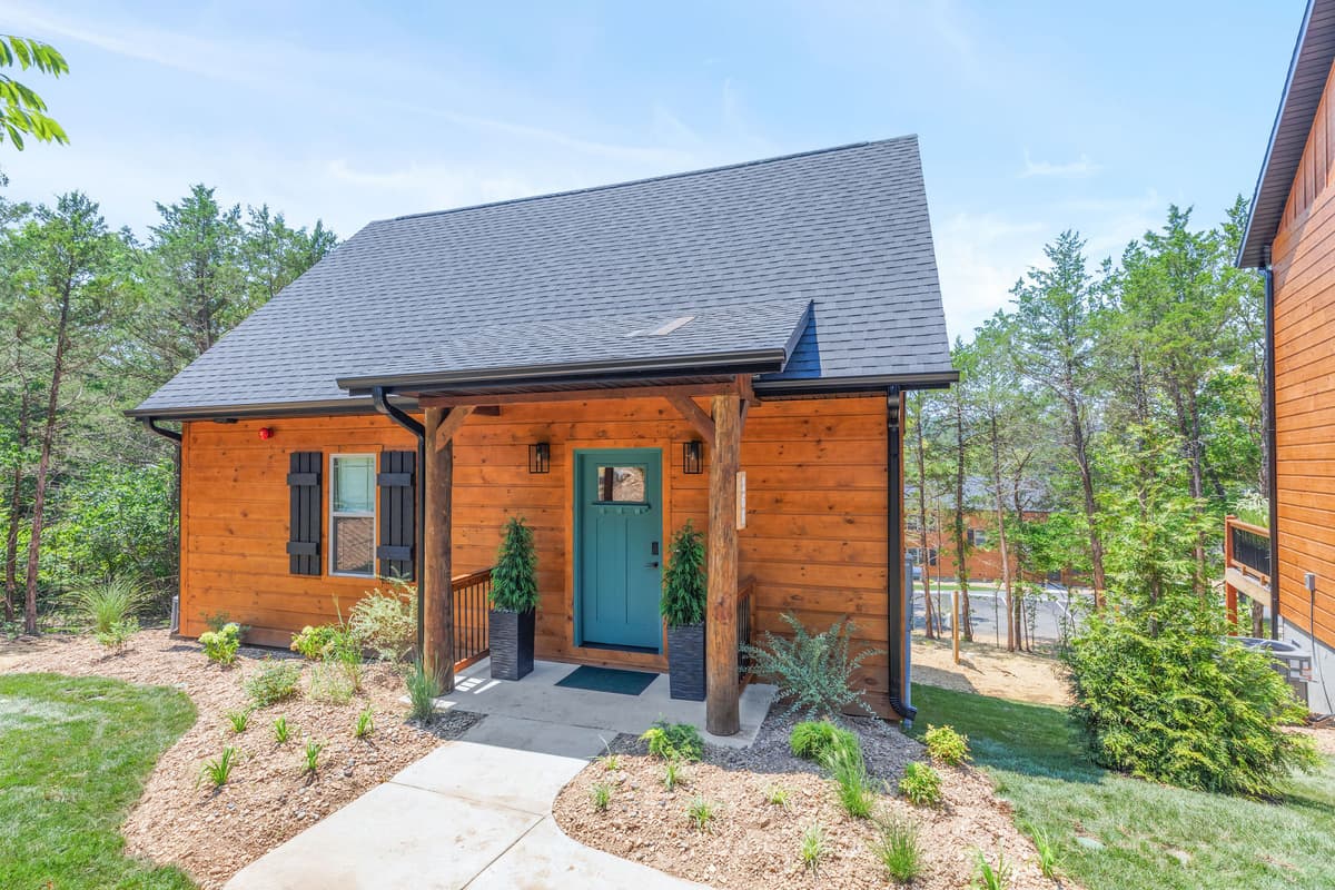 Welcome to On Cloud Pine!